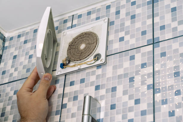 Best Affordable Duct Cleaning Services  in Sutton Alpine, AK