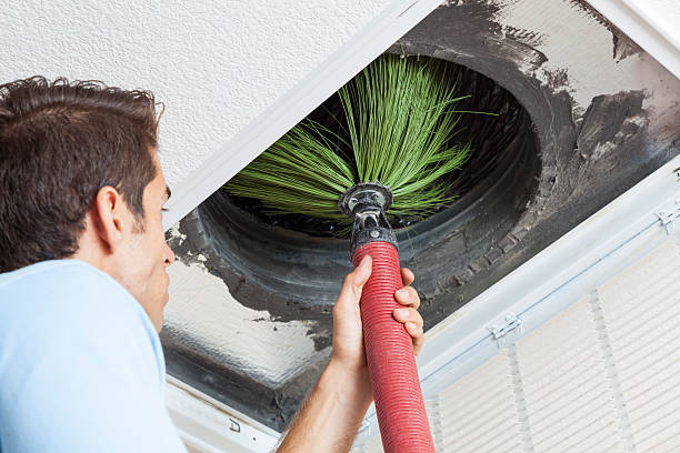 Best Affordable Air Duct Cleaning  in Sutton Alpine, AK